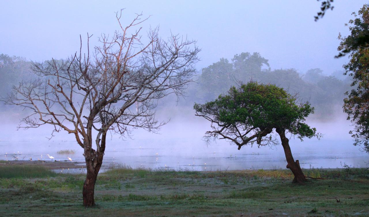 The Ibis - Wilpattu Villa Puttalam Luaran gambar