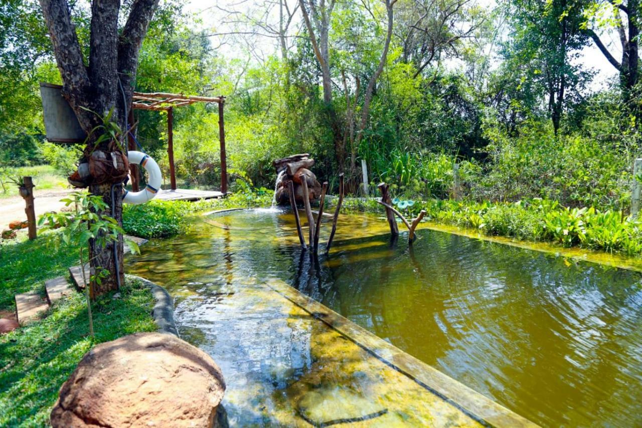 The Ibis - Wilpattu Villa Puttalam Luaran gambar